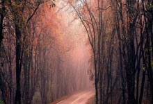 C7娱乐：[法甲]巴黎圣日耳曼门将唐纳鲁马面部遭踩踏.